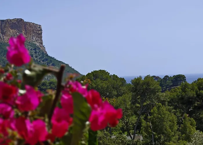 Charmant T2 A Cassis