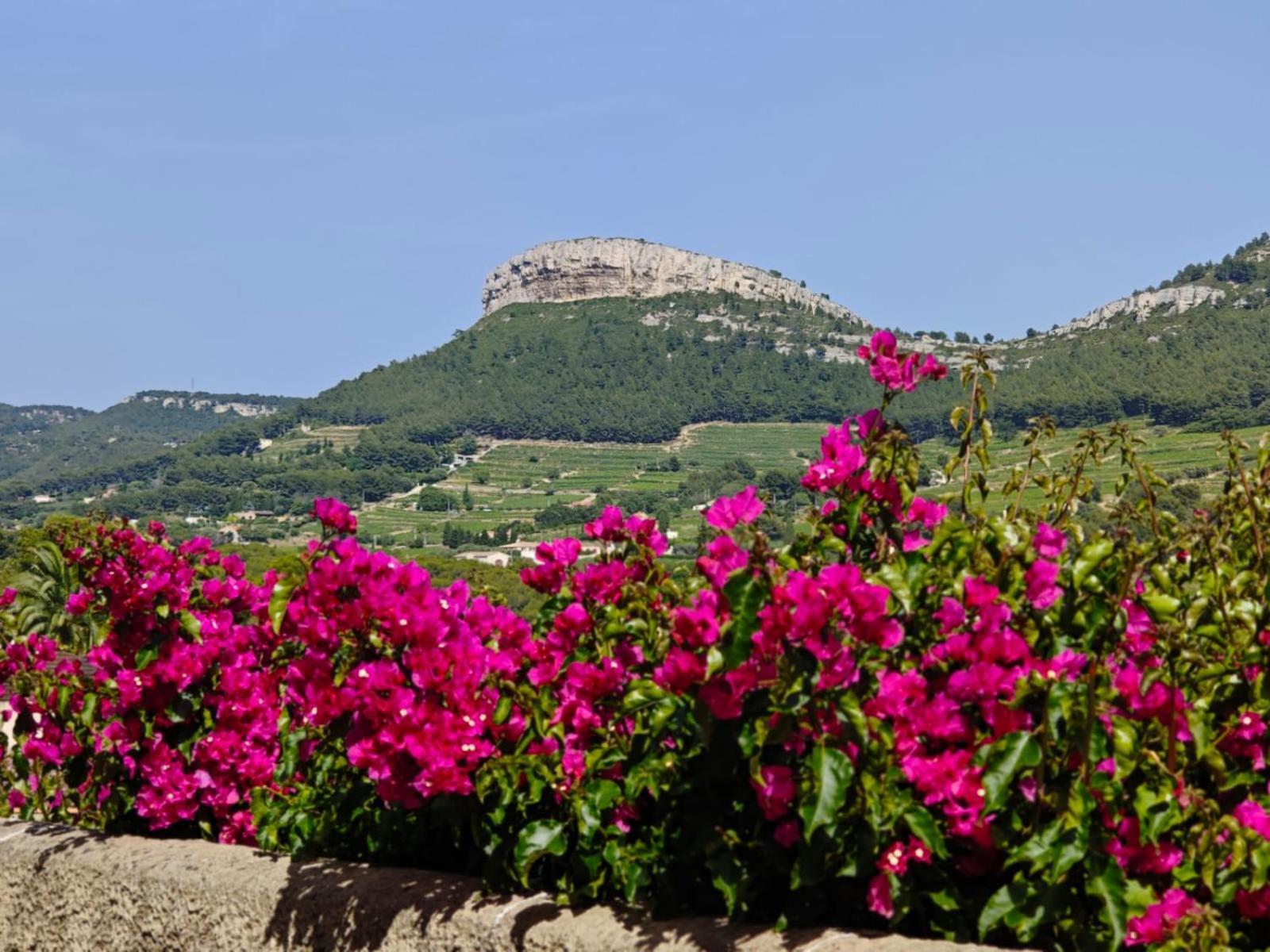 T2 A * Cassis